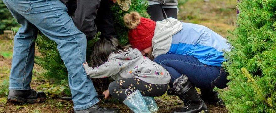 500 plus może być dopiero po świętach! Minister apeluje do samorządów