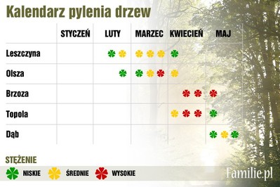 Pylenie drzew – kalendarz 2016 i ważne informacje!