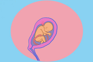 Przebieg ciąży: tydzień 18 - 22