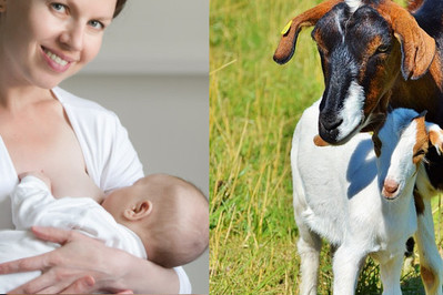 Mleko kozie dla niemowląt - najbliższe mleku mamy!