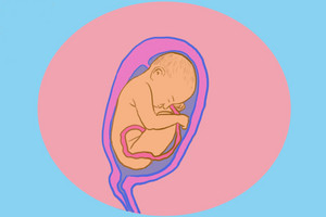 Przebieg ciąży: tydzień 28 - 31