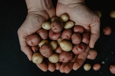 Obierki po ziemniakach: nie wyrzucaj! Zobacz, jak wykorzystać obierki z ziemniaków i być ZEROWASTE 