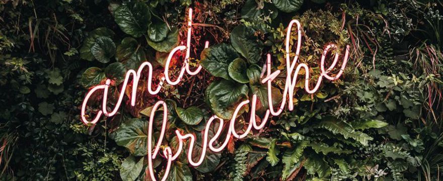 5 kroków samoregulacji: jak się nie dać ponieść emocjom przy dziecku