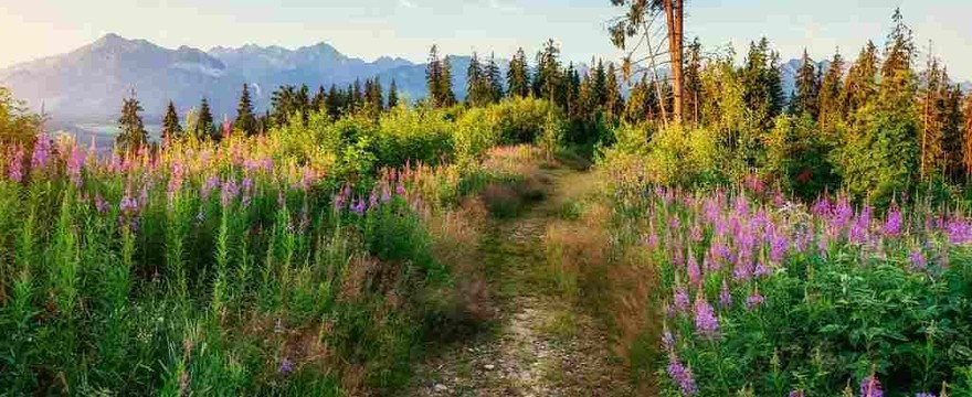 Zakopane - miasto tysiąca wrażeń