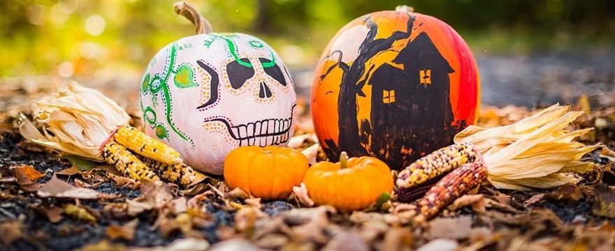 Lampion z dyni: Co zrobić żeby dynia na Halloween nie gniła?