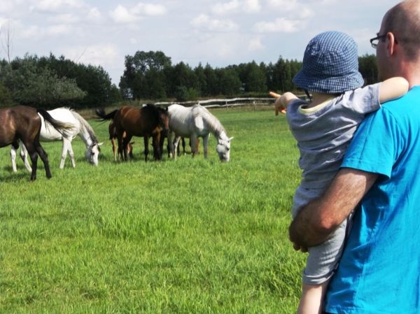 Wakacje z konikami-mąż i synek uwielbiają obserwować te przepiękne zwierzęta.