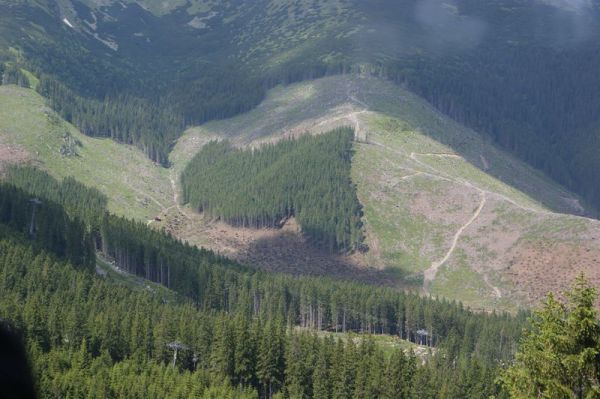 Serce nawet w przyrodzie